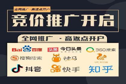 百度SEO推广成功案例：品牌知名度提升